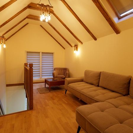 The Cozy Nook - Ultra Central Braşov Exteriör bild